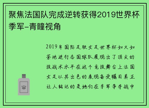 聚焦法国队完成逆转获得2019世界杯季军-青瞳视角